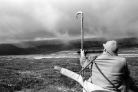 Image of sheet 19910740 photo 35: A hunter looking through a telescope for a stag.
Deer hunting in Scotland 1991
Ein Jäger schaut durch das Fernrohr. Hirschjagd in Schottland. 
Great britain, Grossbritannien  √