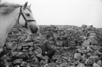 Image of sheet 19910750 photo 0: frtsg. 910740  Pony und Gordon als Ponyboy. Mittagslunch im Schelter. Andy wirft Gräser in die Luft um die Windrichtung zu kontrollieren. Nachher sitzen wir lange im Gras und beobachten den einen Hirsch. Er liegt und als Andy Zeichen gibt, steht die Herde auf und er bleibt. Im letzten Moment muss ich auf einen anderen schiessen. Der Schuss sitzt nicht richtig. Andy schnellt auf und erlegt den wegrennenden Hirsch wenig später. Care na Ciche: Ich bin froh. und gleichzeitig fühle ich mich total unwohl. Trotzdem wird mein Gesicht mit dem Blut des ersten erlegten Hirsches bemalt. Portrait. Ich sitze neben ihm. Der Marsch geht lange, wir vergessen sogar den obligaten Schluck Whisky einzunehmen. Das Pferd verliert ein Huf. Mathis Pilloud und Lu Nüscheler besuchen mich und beobachten meinen zweiten Schuss. Er trifft den Hirsch und er stirbt. Ich schoss halb kauernd auf ca 130 m. von oben. In Coire Brahn Deer hunting in Scotland 1991 deer hunting scotland hunter traditional man me highland Vital Hauser Great britain Europe Europa 
Scotland (Scottish Gaelic: Alba ([ˈal̪ˠapə ] About this sound listen (help·info)) is a country that is part of the United Kingdom. Occupying the northern third of the island of Great Britain, it shares a border with England to the south and is bounded by the North Sea to the east, the Atlantic Ocean to the north and west, and the North Channel and Irish Sea to the southwest. In addition to the mainland, Scotland is made up of more than 790 islands including the Northern Isles and the Hebrides.
rifle