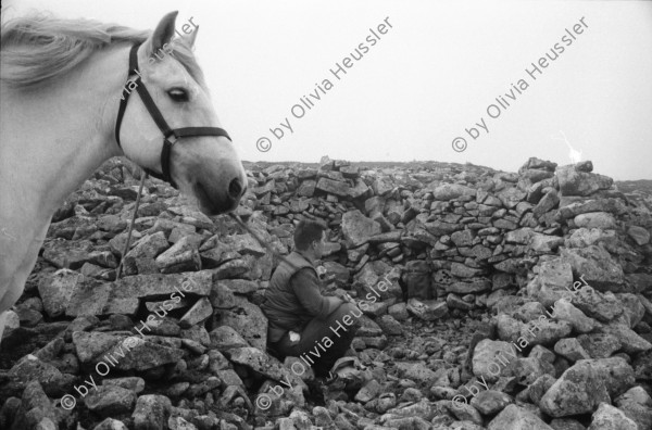 Image of sheet 19910750 photo 0: frtsg. 910740  Pony und Gordon als Ponyboy. Mittagslunch im Schelter. Andy wirft Gräser in die Luft um die Windrichtung zu kontrollieren. Nachher sitzen wir lange im Gras und beobachten den einen Hirsch. Er liegt und als Andy Zeichen gibt, steht die Herde auf und er bleibt. Im letzten Moment muss ich auf einen anderen schiessen. Der Schuss sitzt nicht richtig. Andy schnellt auf und erlegt den wegrennenden Hirsch wenig später. Care na Ciche: Ich bin froh. und gleichzeitig fühle ich mich total unwohl. Trotzdem wird mein Gesicht mit dem Blut des ersten erlegten Hirsches bemalt. Portrait. Ich sitze neben ihm. Der Marsch geht lange, wir vergessen sogar den obligaten Schluck Whisky einzunehmen. Das Pferd verliert ein Huf. Mathis Pilloud und Lu Nüscheler besuchen mich und beobachten meinen zweiten Schuss. Er trifft den Hirsch und er stirbt. Ich schoss halb kauernd auf ca 130 m. von oben. In Coire Brahn Deer hunting in Scotland 1991 deer hunting scotland hunter traditional man me highland Vital Hauser Great britain Europe Europa 
Scotland (Scottish Gaelic: Alba ([ˈal̪ˠapə ] About this sound listen (help·info)) is a country that is part of the United Kingdom. Occupying the northern third of the island of Great Britain, it shares a border with England to the south and is bounded by the North Sea to the east, the Atlantic Ocean to the north and west, and the North Channel and Irish Sea to the southwest. In addition to the mainland, Scotland is made up of more than 790 islands including the Northern Isles and the Hebrides.
rifle