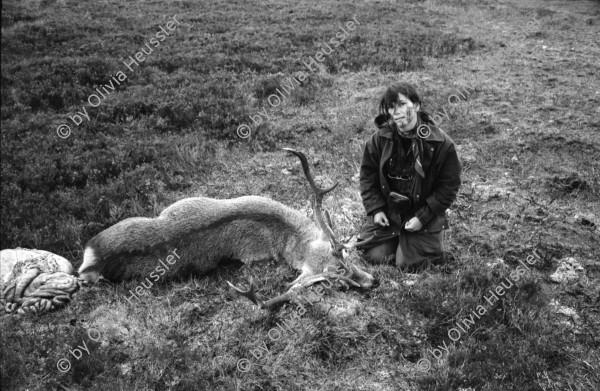 Image of sheet 19910750 photo 10: während Hirschjagd in Schottland. 1991 Portrait