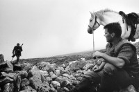 Image of sheet 19910750 photo 2: © 1991, Olivia Heussler / www.clic.li
Pony und Gordon als Ponyboy. Mittags lunch in Schelter. Care na Ciche. In Coire Brahn Deer hunting in Scotland 1991 deer hunting scotland hunter traditional man highland Great britain Europe Europa 
Scotland (Scottish Gaelic: Alba ([ˈal̪ˠapə ] About this sound listen (help·info)) is a country that is part of the United Kingdom. Occupying the northern third of the island of Great Britain, it shares a border with England to the south and is bounded by the North Sea to the east, the Atlantic Ocean to the north and west, and the North Channel and Irish Sea to the southwest. In addition to the mainland, Scotland is made up of more than 790 islands including the Northern Isles and the Hebrides.
√ Europe hunting
