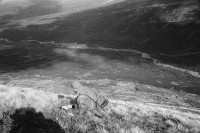 Image of sheet 19910750 photo 27: Während Hirschjagd in Schottland. 
Deer hunting in Scotland 1991 Grossbritannien √ deer hunting scotland hunter traditional man highland Great britain Europe Europa scottish water nature moor landscape rifle