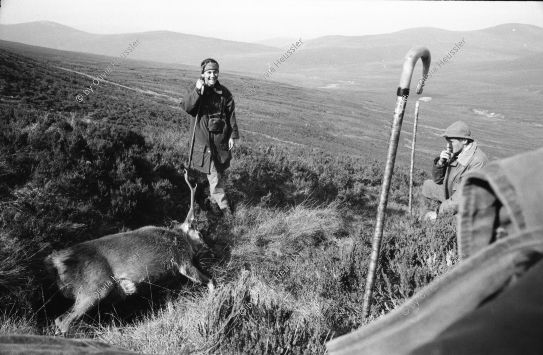 Image of sheet 19910750 photo 31: Während Hirschjagd in Schottland. 1991