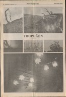 Image of sheet 19910760 photo 12: © 1991, OLIVIA HEUSSLER / www.clic.li
Mein geschossener Hirsch auf Pony.  Gaick Lodge.
Deer hunting in Scotland Great Britain, 1991 
Hirschjagd in Gaick Lodge, Schottland, Vereinigtes Königreich √
Der getötete Hirsch wird auf einem Pony ins Tal transportiert. Kingussie Schottland Grossbritannien 9.91 tier animal Pferd
Deer hunting in Scotland, Great Britain 1991
Great britain, Grossbritannien dead killed animal horse trophy trophäe
ohne Aufkleber