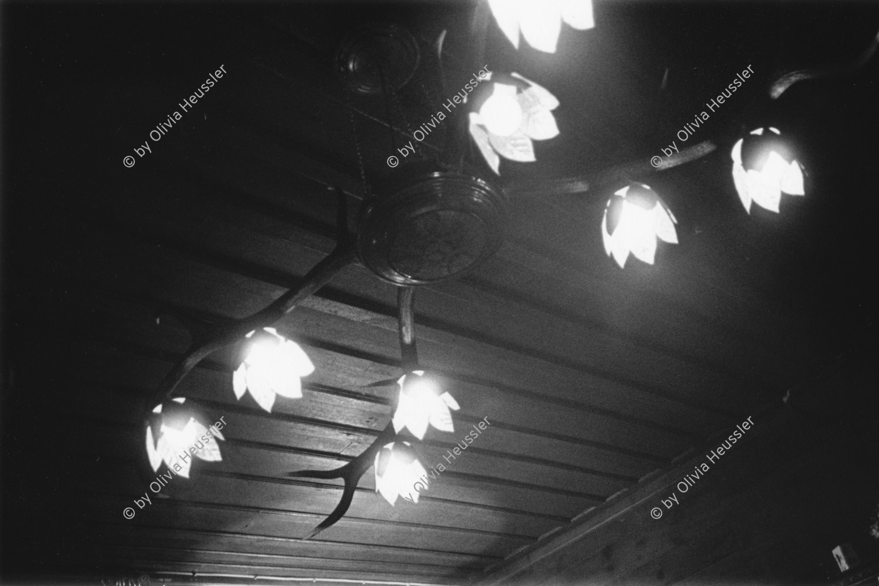 Image of sheet 19910760 photo 27: © 1991, OLIVIA HEUSSLER / www.clic.li
Beleuchtung im Salon besteht aus zwei Hirschgeweihen. trophy trophäe lamp Lampe bestehend aus Hirsch geweih und Glüh birnen. Osram bulbs 
Deer hunting in Scotland, Great Britain 1991
Great britain, Grossbritannien  Europe √ 
ohne Aufkleber