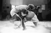 Image of sheet 19910820 photo 24: In der Kanzlei turnhalle gibt es ein Alpfest mit Schwinget. Nr. 7 Rolf Munz 22 Ursina 29 Nemo 36 Jürg Bernhard. Kanzlei Schwinger fest Zürich Holzspähne Zürich Kreis 4 vier Aussersihl 1991 hoselupf sport sports