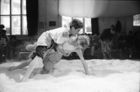 Image of sheet 19910820 photo 3: In der Kanzlei turnhalle gibt es ein Alpfest mit Schwinget. Nr. 7 Rolf Munz 22 Ursina 29 Nemo 36 Jürg Bernhard. Kanzlei Schwinger fest Zürich Holzspähne Zürich Kreis 4 vier Aussersihl 1991 hoselupf sport sports