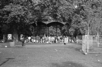 Image of sheet 19910850 photo 22: P