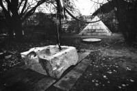 Image of sheet 19910900 photo 36: Shadows and other Natures