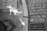 Image of sheet 19910940 photo 24: In Colmar sollten die Hunde selber sehen wo ihr Abort liegt. Frankreich, 12.91