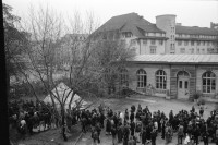 Image of sheet 19910950 photo 3: Kanzlei Demo Abmarsch für freie Räume. Rolf Munz Jürg Bernhard und Nemo Sieber und Bildhauer Paul Sieber. Langstrasse Wohlgroth Transparent Mann mit Koffer auf Geleisen. Transparent: Kei Ruum, vil Muur, murr murr rumm rumm. Platzspitz Zaun wird abgebrochen. angesaägt. Omega Schaufenster an der Bahnhofstrasse zerschlagen. Mann steht dahinter. Tagi Tages Anzeiger Shop 'Das Magazin' liegt im Schaufenster mit zerschlagenen Fensterscheiben. Zwei weisse Pferd im Stall, Kanton Zürich, Wetzwil
horse animal 1991
