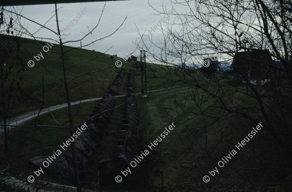 Image of sheet 19913000 photo 1: Panzersperre