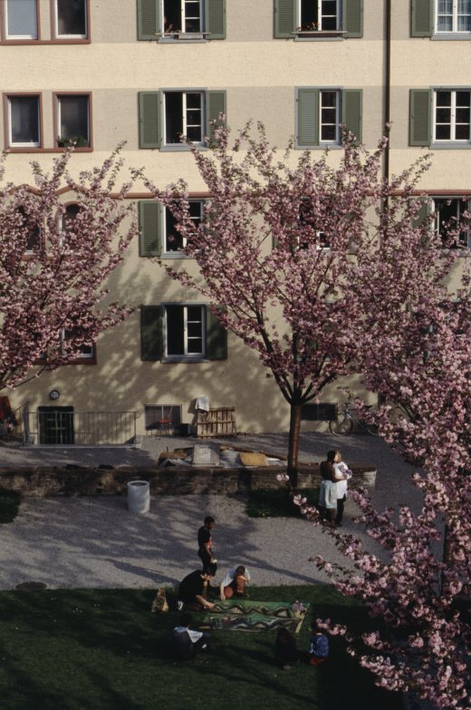 Image of sheet 19913002 photo 52: Renovation, städtische Wohnsiedlung Erismannhof, Zürich 1991.