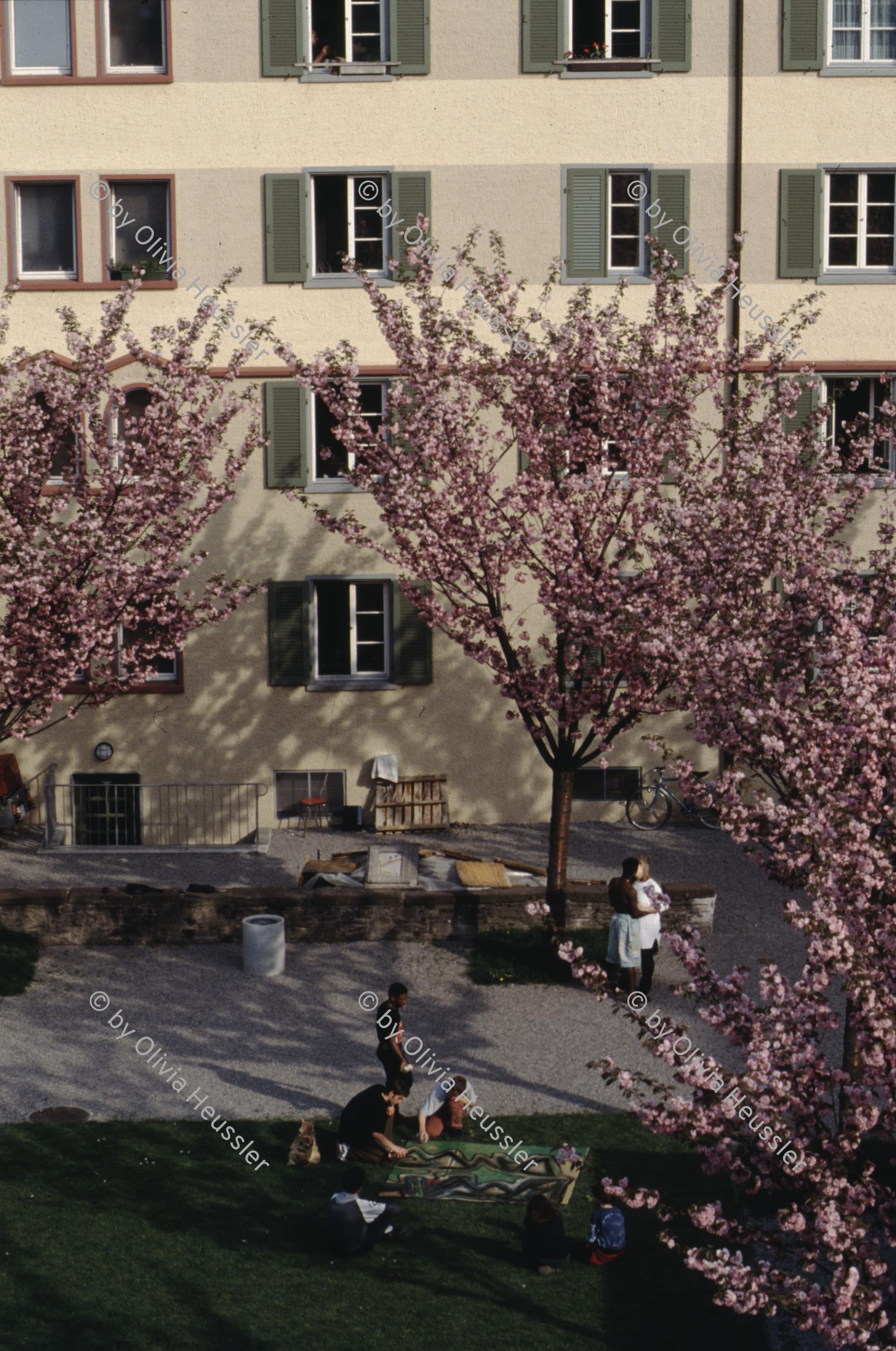 Image of sheet 19913002 photo 52: Renovation, städtische Wohnsiedlung Erismannhof, Zürich 1991.