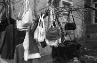 Image of sheet 19920010 photo 14: Flohmarkt im Kanzleischulhaus. Silvano Speranza fährt den Federlos Bus. Züglete vom Kanzlei. Plastik von Schang Hutter. Werbeplakat für Baer gescrached. Schulbänke liegen im Hof verbrannt. Rebecca Naldi. Schulhaus Portrait Kanzleischulhaus und brennende Schulbänke. Zürich 1992 pulte tables chairs burned fyer schule school 
housing occupation occupied house home protest swiss switzerland Schweiz Europe