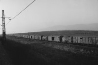 Image of sheet 19920080 photo 20: Ein Güterzug wartet auf Einsatz. Die Gegend im Erzgebirge nach Jahren der Ausbeutung für Braunkohle ausgelaugt. Most Nordböhmen, Tschechien 02.92 √ 1992 Czechia 
Brown coal mine in the Ore Mountains Train Transport Freight train waits to be loaded with brown coal. Most 02.92
ohne Aufkleber