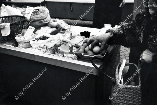 Image of sheet 19920090 photo 31: The price of groceries is permanently raising eggs Eier