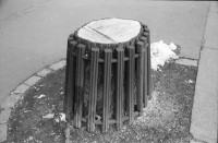 Image of sheet 19920120 photo 1: F