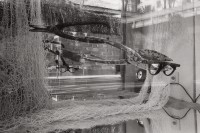 Image of sheet 19920120 photo 33: S