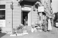 Image of sheet 19920180 photo 29: Schaufenster Condomeria, Klingenstr. 23, Apotheke Stadelhofen, für nnabelle mit Yvonne Kind und Objekte von Knopp FERRO Hinterecker, Seefeld. Mainaustrasse, Stefan Steffi Kenner oder Renner mit Helm und Velobrille von Knopp. Kondome im Schaufenster und Scheinwerferlicht. Zürich 1992 condom anticonceptive 
artist art sculpture portrait switzerland schweiz