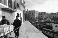 Image of sheet 19920201 photo 7: Brindisi. frtsg. 21 Italien Italy Apulien Puglia fish market 
Olives oliven tree olive 1992 fisher