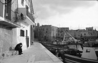 Image of sheet 19920201 photo 8: Brindisi. frtsg. 21 Italien Italy Apulien Puglia fish market 
1992 fisher