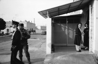 Image of sheet 19920220 photo 14: frtsg. Bogen Nr. 92021
Ein Armeeangehöriger Soldat Militär Carabinieri Polizei zeigt während einer Razzia im Schmuggelquartier 'Il Paradiso' seine Künste beim Fasadenklettern. Brindisi, Italien Italy Razzia 03.92 1992 
During a raid in the smugglers' quarters' Il Paradiso 'in Bindisi