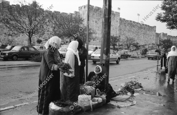 Image of sheet 19920270 photo 10: Morgen über West Jerusalem.Nebel. Obdachloser russischer Einwanderer protestiert in Fussgängerzone. West. Szenen in Ost Jerusalem. Typ. moslemisch gekleidete Frauen. Damaskus Tor. Computer mit arabischer Schrift. Frau arbeitet. im Büro. Israel Palestine 1992 A homeless russian immigrant in the pedestrian section of West Jerusalem protesting against unemployment and the lack of housing.

In the busy pedestrian zone of West Jerusalem, a homeless Russian immigrant protests against unemployment and lack of housing. Israeli military soldier.