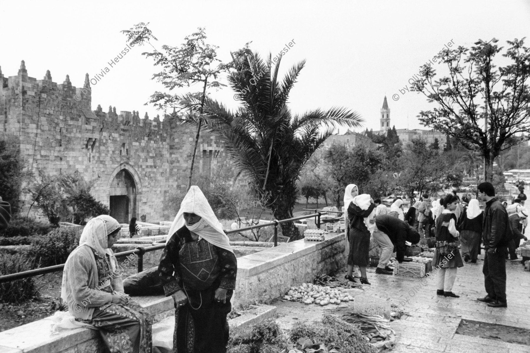 Image of sheet 19920270 photo 16: Vor dem Eingang in die Ost- Jerusalemer Altstadt verkaufen Palästinenserinnen ihr Gemüse. Palästina 04. 1992 √ Palestine women palestinians jerusalem east vegetables market old town
© 1992, Olivia Heussler