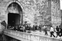 Image of sheet 19920270 photo 17: Morgen über West Jerusalem.Nebel. Obdachloser russischer Einwanderer protestiert in Fussgängerzone. West. Szenen in Ost Jerusalem. Typ. moslemisch gekleidete Frauen. Damaskus Tor. Computer mit arabischer Schrift. Frau arbeitet. im Büro. Israel Palestine 1992 A homeless russian immigrant in the pedestrian section of West Jerusalem protesting against unemployment and the lack of housing.

In the busy pedestrian zone of West Jerusalem, a homeless Russian immigrant protests against unemployment and lack of housing. Israeli military soldier.