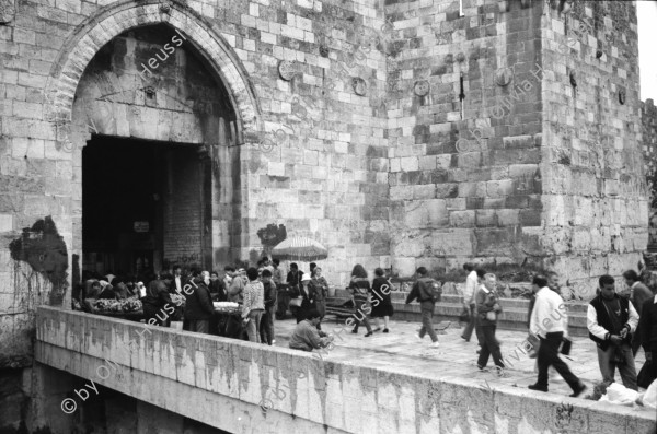 Image of sheet 19920270 photo 17: Morgen über West Jerusalem.Nebel. Obdachloser russischer Einwanderer protestiert in Fussgängerzone. West. Szenen in Ost Jerusalem. Typ. moslemisch gekleidete Frauen. Damaskus Tor. Computer mit arabischer Schrift. Frau arbeitet. im Büro. Israel Palestine 1992 A homeless russian immigrant in the pedestrian section of West Jerusalem protesting against unemployment and the lack of housing.

In the busy pedestrian zone of West Jerusalem, a homeless Russian immigrant protests against unemployment and lack of housing. Israeli military soldier.