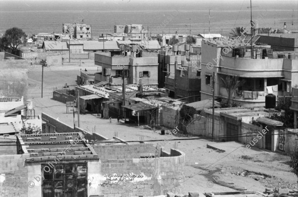 Image of sheet 19920290 photo 0: Portrait: Dr. Hayder Abd el Shafi Siedlung, College of Sience and Technology, Khan Younis, Students school
Gaza Strip Palestine 1992
Diese jungen Studentinnen sind Stolz an der Schule für Technologie und Wissenschaft studieren zu können. Khan Younis, Gazastreifen Palästina 04.92. headscarf Kopftuch