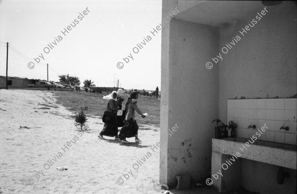 Image of sheet 19920290 photo 28: Portrait: Dr. Hayder Abd el Shafi Siedlung, College of Sience and Technology, Khan Younis, Students school
Gaza Strip Palestine 1992
Diese jungen Studentinnen sind Stolz an der Schule für Technologie und Wissenschaft studieren zu können. Khan Younis, Gazastreifen Palästina 04.92. headscarf Kopftuch