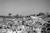 Image of sheet 19920300 photo 13: Eine offene Gift Abfallmulde direkt am Meer neben einem israelischen Hotel. Gazastreifen Palästina, 04.92
An open garbage dump environmentally destructive area by the sea. Gaza, Palestine 1992 √ israeli occupied territory
Umwelt zerstörung Umweltverschmutzung ambient toxic