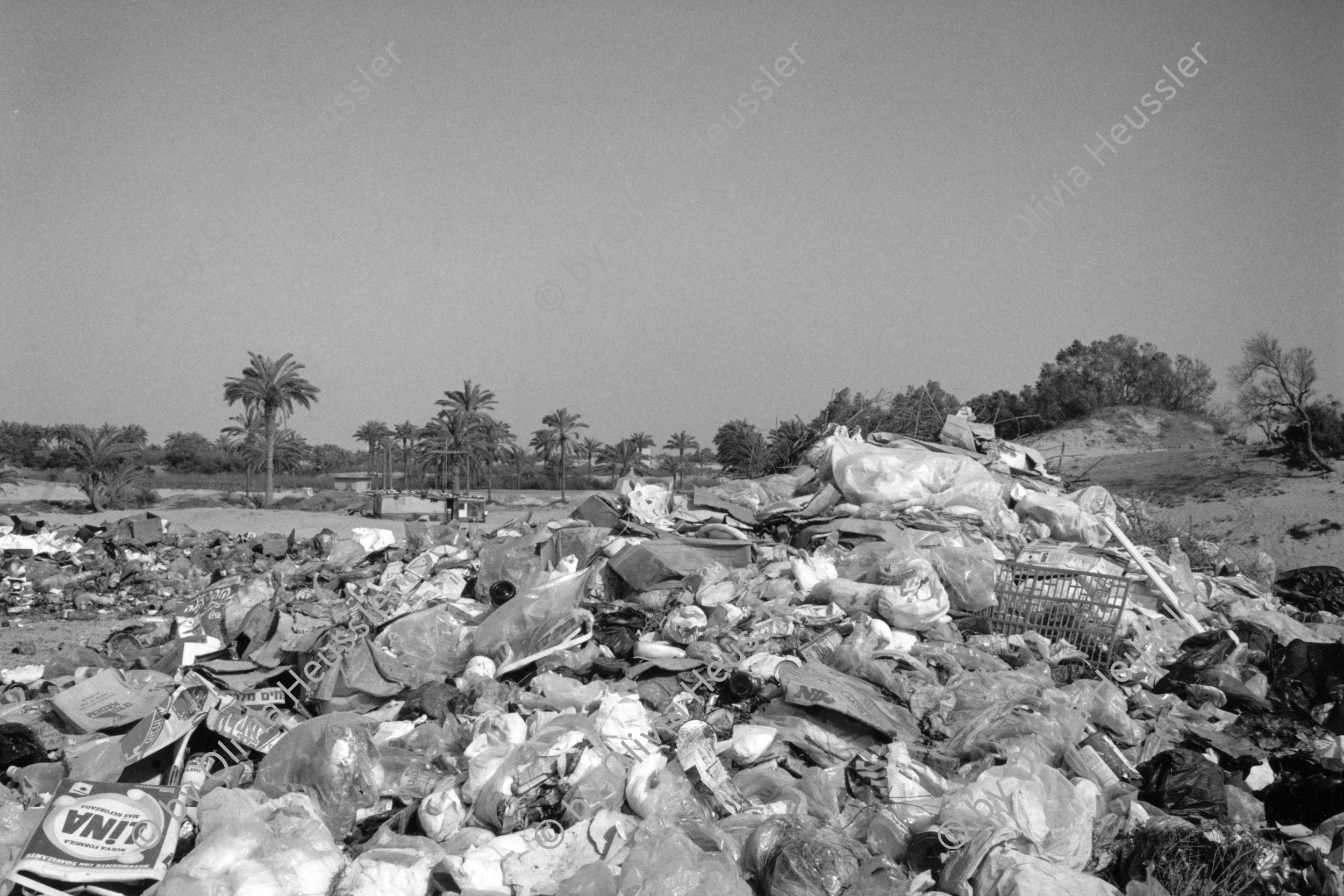Image of sheet 19920300 photo 13: Eine offene Gift Abfallmulde direkt am Meer neben einem israelischen Hotel. Gazastreifen Palästina, 04.92
An open garbage dump environmentally destructive area by the sea. Gaza, Palestine 1992 √ israeli occupied territory
Umwelt zerstörung Umweltverschmutzung ambient toxic