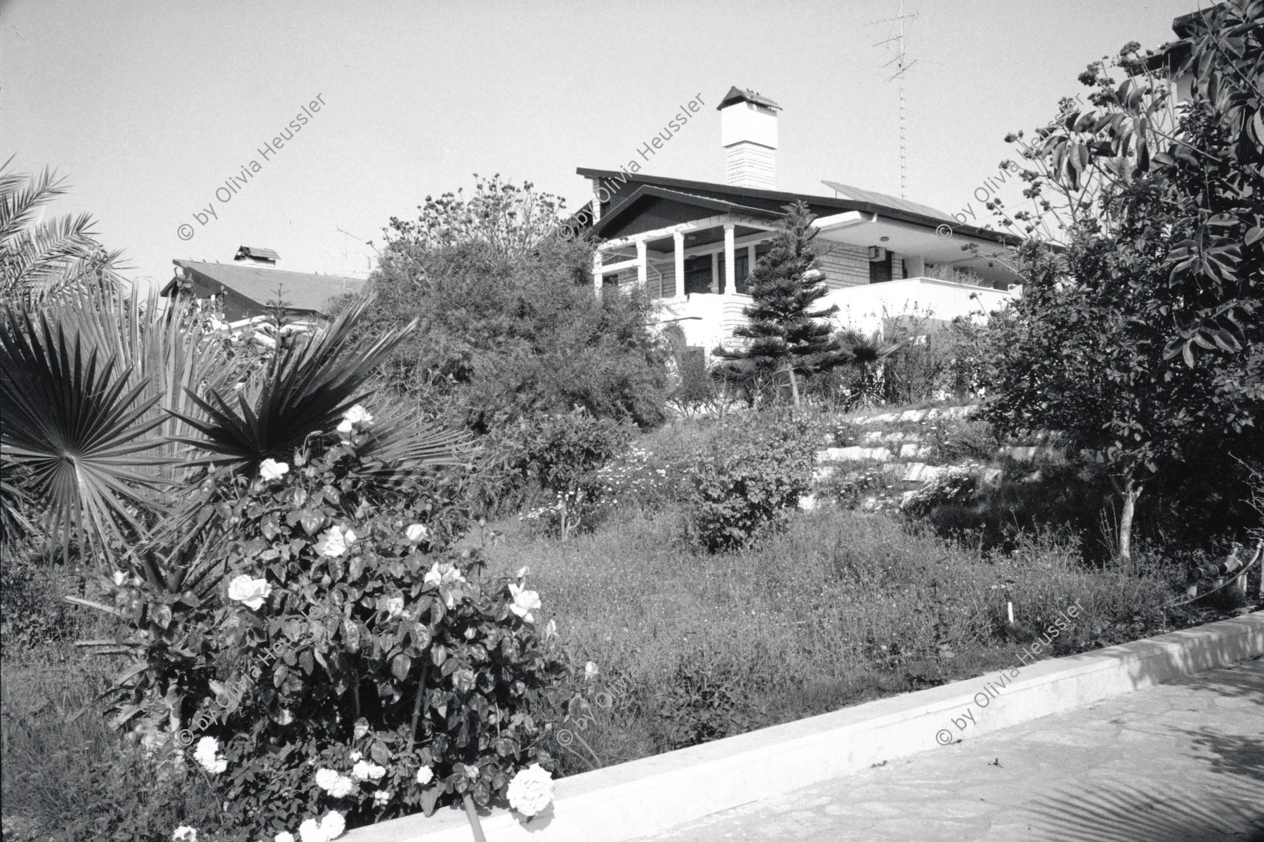 Image of sheet 19920300 photo 18: Diese Villa gehört einem Palästinenser, der im Ausland lebt. Gazastreifen, Khan Younis Palästina 04.92 Gaza strip Palestine 1992 √
This villa belongs to a Palestinian who lives abroad. Khan Yunis, Gaza Strip.
Aus: Out of Jerusalem / Jenseits von Jerusalem page 107
© 1992, OLIVIA HEUSSLER / www.clic.li