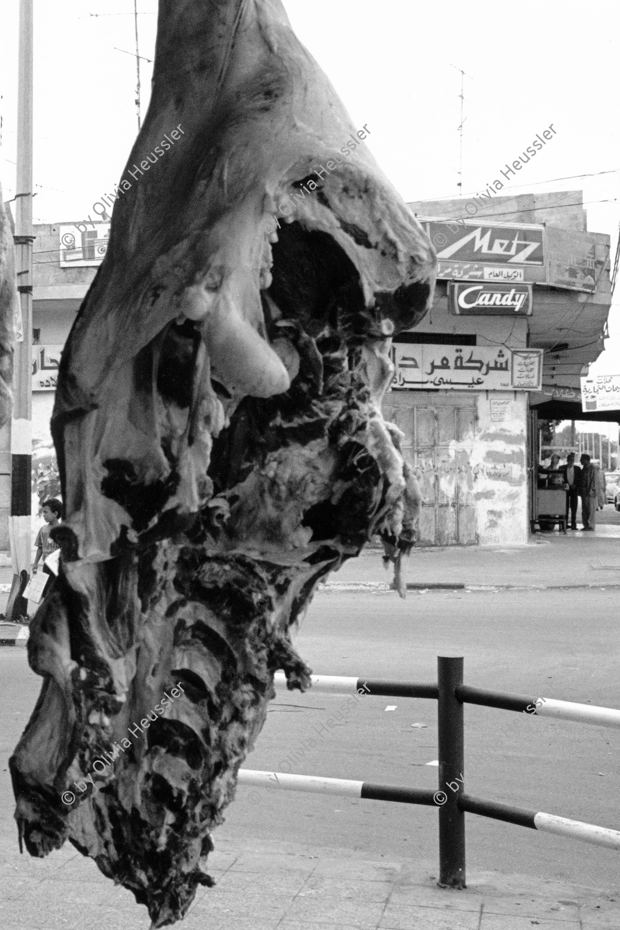 Image of sheet 19920300 photo 28: Meat Fleisch Gaza City strip Gazastreifen Palästina, Palestine 04.92
© 1992, OLIVIA HEUSSLER / www.clic.li