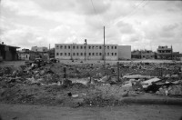 Image of sheet 19920300 photo 32: Diese jungen Studentinnen sind Stolz an der Schule in der Dr. Hayder Abd el Shafi Siedlung für Technologie und Wissenschaft studieren zu können. Khan Younis, Gazastreifen Palästina 04.92. 1992 Gaza Strip Streifen Palestine israeli occupied territory school university arab moslem women student √

© 1992, OLIVIA HEUSSLER / www.clic.li