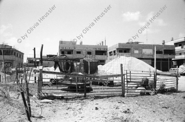 Image of sheet 19920310 photo 13: Für die Familie Al Akra ist das Fahrzeug in ihrem Salon das einzige wertvolle Eigentum, Gaza, Palästina, 04.92
© 1992, by OLIVIA HEUSSLER / www.clic.li
Their peugeot in the living room is the only valuable belonging of the Al Akkra family.  Gaza Palestine 1992 √
Jabalia Camp (Arabic: مخيّم جباليا‎) is a Palestinian refugee camp located 3 kilometers (1.9 mi) north of Jabalia. The refugee camp is in the North Gaza Governorate, Gaza Strip. According to the Palestinian Central Bureau of Statistics, the camp had a population of 93,455 in mid-year 2006
Aus: Out of Jerusalem Jenseits von Jerusalem page  102, 103 
The car parked in the living room is the only precious property the family owns.