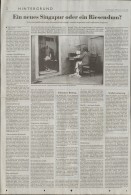 Image of sheet 19920310 photo 6: Viele palästinensiche Frauen, die früher in Israel gearbeitet haben und jetzt nicht mehr regelmässig an ihrem Arbeitsplatz sein können, arbeiten zu Hause. Gaza, Jabalia Camp 04.92