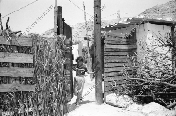 Image of sheet 19920320 photo 11: al-Jiftlik (Arabic: الجفتلك‎) is a Palestinian town in the West Bank's Jordan Rift Valley several kilometers from the Jordanian border.