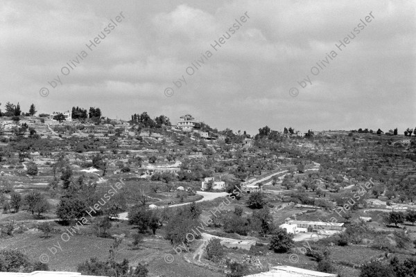 Image of sheet 19920320 photo 33: israeli occupied territory Palestine occupied territories
Birzeit (Arabic: بيرزيت‎) (also written Bir Zeit) is a Palestinian town near Ramallah in the central West Bank. Its population in the 2007 census was 4529. Birzeit is a traditional Christian town. Its history dates back to the Byzantine era and earlier.