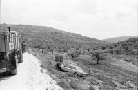 Image of sheet 19920340 photo 1: Siedlungen bei Nablus. Gerizim, Samariterkinder, Al Cazer, Wachturm aus osamnischer Zeit. Portrait Tochter Nazer. Munir und Omar Paschsa. Nablus. Jerusalem. Armenische Oster Prozession. Altstadt. Jerusalem Palästina Palestine
Occupied territory Palestine Palästina 1992 
Mount Gerizim (play /ˈɡɛrɨˌzɪm/; Samaritan Hebrew Ar-garízim, Arabic جبل جرزيم Jabal Jarizīm, Tiberian Hebrew הַר גְּרִזִּים Har Gərizzîm, Standard Hebrew הַר גְּרִיזִּים Har Gərizzim) is one of the two mountains in the immediate vicinity of the West Bank city of Nablus (biblical Shechem), and forms the southern side of the valley in which Nablus is situated, the northern side being formed by Mount Ebal. The mountain is one of the highest peaks in the West Bank and rises to 2849 feet (881 m) above sea level, 228 feet (69.5 m) shorter than Mount Ebal. The mountain is particularly steep on the northern side, is sparsely covered at the top with shrubbery, and lower down there is a spring with a high yield of fresh water.

The Samaritans (Hebrew: שומרונים‎ Shomronim, Arabic: السامريون‎ as-Sāmariyyūn) are an ethnoreligious group of the Levant, descended from ancient Semitic inhabitants of the region. Religiously the Samaritans are adherents of Samaritanism, an Abrahamic religion closely related to Judaism. Based on the Samaritan Torah, Samaritans claim their worship is the true religion of the ancient Israelites prior to the Babylonian Exile, preserved by those who remained in the Land of Israel, as opposed to Judaism, which they assert is a related but altered and amended religion, brought back by those returning from exile