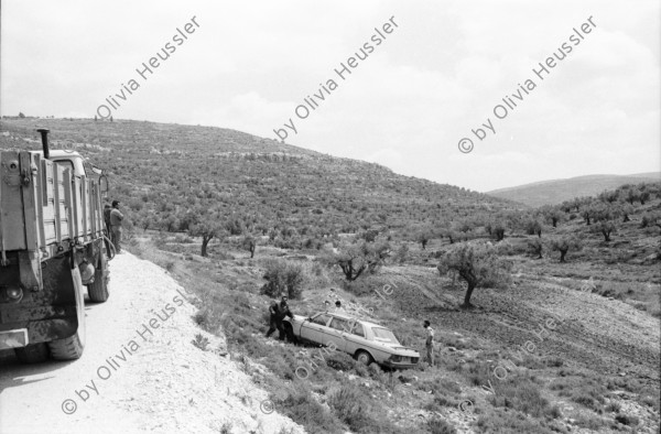 Image of sheet 19920340 photo 1: Siedlungen bei Nablus. Gerizim, Samariterkinder, Al Cazer, Wachturm aus osamnischer Zeit. Portrait Tochter Nazer. Munir und Omar Paschsa. Nablus. Jerusalem. Armenische Oster Prozession. Altstadt. Jerusalem Palästina Palestine
Occupied territory Palestine Palästina 1992 
Mount Gerizim (play /ˈɡɛrɨˌzɪm/; Samaritan Hebrew Ar-garízim, Arabic جبل جرزيم Jabal Jarizīm, Tiberian Hebrew הַר גְּרִזִּים Har Gərizzîm, Standard Hebrew הַר גְּרִיזִּים Har Gərizzim) is one of the two mountains in the immediate vicinity of the West Bank city of Nablus (biblical Shechem), and forms the southern side of the valley in which Nablus is situated, the northern side being formed by Mount Ebal. The mountain is one of the highest peaks in the West Bank and rises to 2849 feet (881 m) above sea level, 228 feet (69.5 m) shorter than Mount Ebal. The mountain is particularly steep on the northern side, is sparsely covered at the top with shrubbery, and lower down there is a spring with a high yield of fresh water.

The Samaritans (Hebrew: שומרונים‎ Shomronim, Arabic: السامريون‎ as-Sāmariyyūn) are an ethnoreligious group of the Levant, descended from ancient Semitic inhabitants of the region. Religiously the Samaritans are adherents of Samaritanism, an Abrahamic religion closely related to Judaism. Based on the Samaritan Torah, Samaritans claim their worship is the true religion of the ancient Israelites prior to the Babylonian Exile, preserved by those who remained in the Land of Israel, as opposed to Judaism, which they assert is a related but altered and amended religion, brought back by those returning from exile