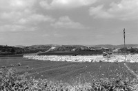 Image of sheet 19920340 photo 3: Die Zufahrtsstrassen der neugebauten Siedlungen führen direkt durch die frischbepflanzten Aecker der palästinensischen Bevölkerung. Westbank 04.92 Occupied territory Palestine Palästina 1992 √

© 1992, OLIVIA HEUSSLER / www.clic.li