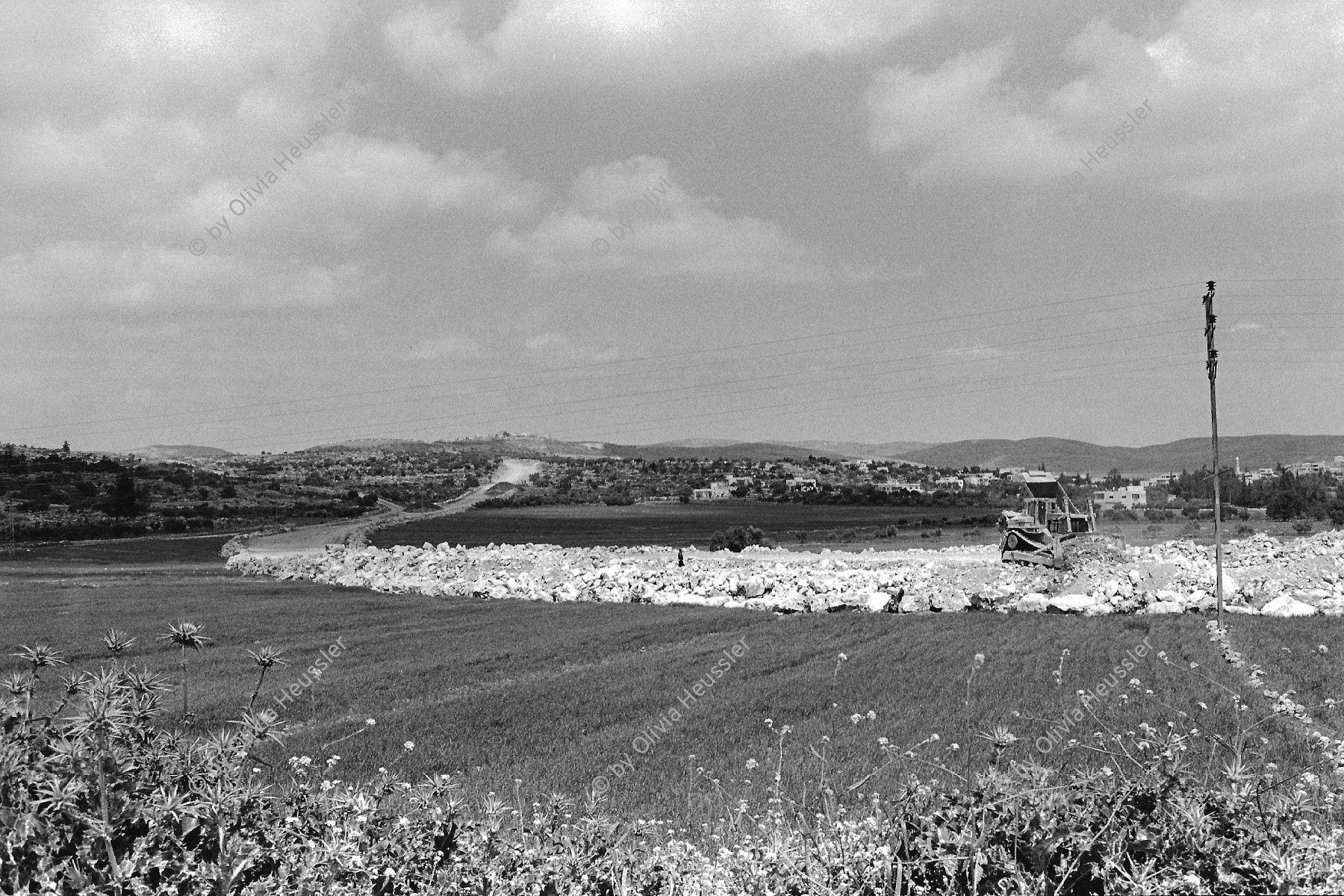 Image of sheet 19920340 photo 3: Die Zufahrtsstrassen der neugebauten Siedlungen führen direkt durch die frischbepflanzten Aecker der palästinensischen Bevölkerung. Westbank 04.92 Occupied territory Palestine Palästina 1992 √

© 1992, OLIVIA HEUSSLER / www.clic.li