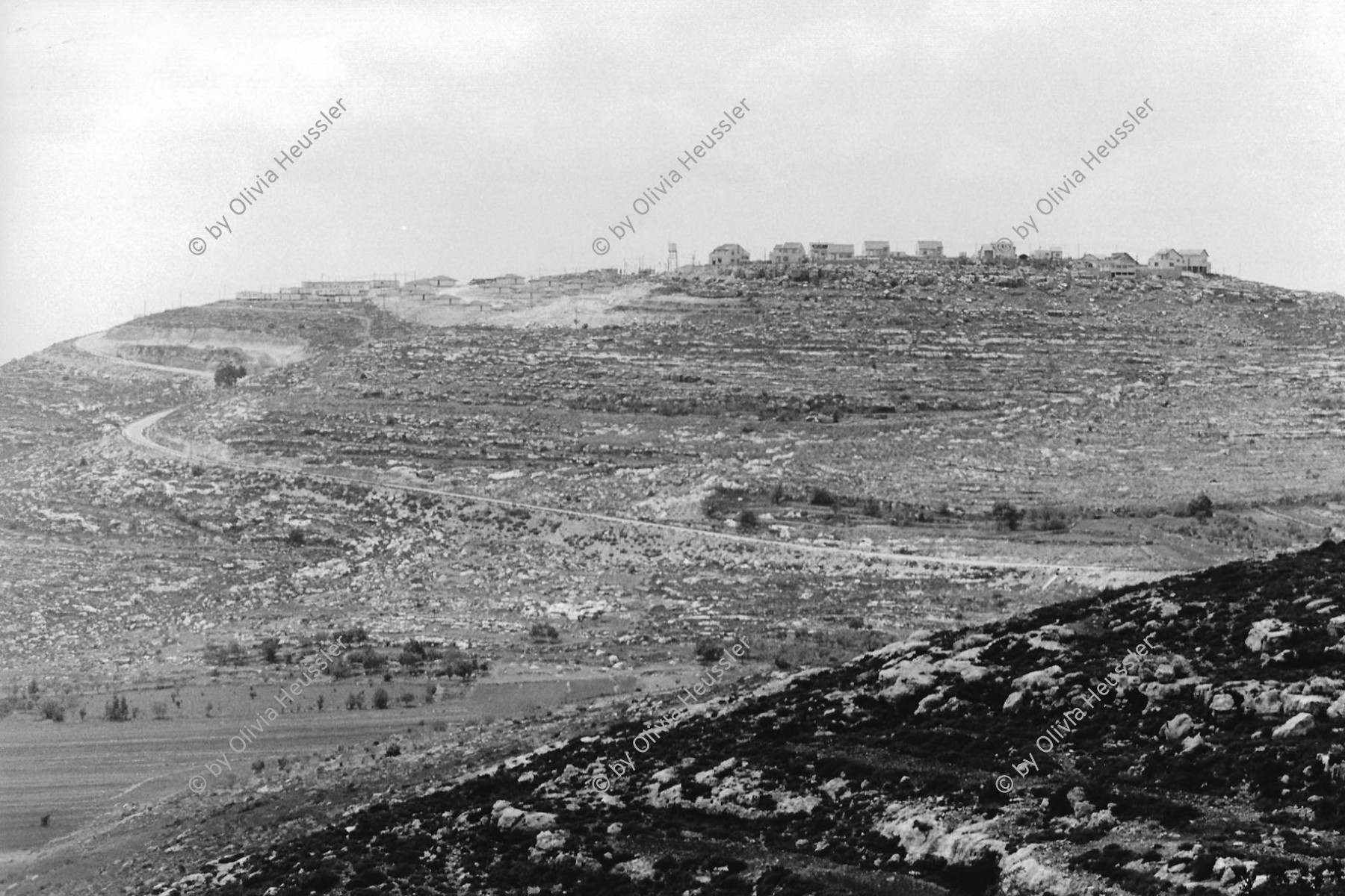 Image of sheet 19920340 photo 7: Immerwieder begegne ich israelischen Siedlungen, zwischen Birzeit und Nablus. 04.92 Palästina Palestine 1992 √
Between Bir Zeit and Nablus I cross several new Israeli Settlements.

© 1992, OLIVIA HEUSSLER / www.clic.li