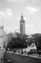Image of sheet 19920350 photo 1: West Jerusalem, Junge und russischer Einwanderer und Opernsänger. Mea Shearim, Ben Yehudin Strasse. Vermesser in Jerusalem Ost. Schafherde. Projekt Ausbildung in Physiotherapie. Schafe werden gewaschen. El Ojer. Westbank. Portrait junge Palästinenser Tahreer Romaniah 23 ig Arztgehilfin. Portrait: Serin, (14) Von Siedler angefahren.
Israel Occupied territory Palestine Palästina 1992
