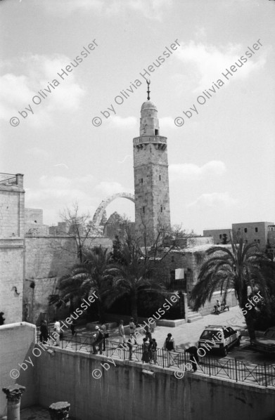 Image of sheet 19920350 photo 1: West Jerusalem, Junge und russischer Einwanderer und Opernsänger. Mea Shearim, Ben Yehudin Strasse. Vermesser in Jerusalem Ost. Schafherde. Projekt Ausbildung in Physiotherapie. Schafe werden gewaschen. El Ojer. Westbank. Portrait junge Palästinenser Tahreer Romaniah 23 ig Arztgehilfin. Portrait: Serin, (14) Von Siedler angefahren.
Israel Occupied territory Palestine Palästina 1992