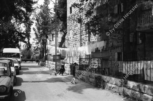 Image of sheet 19920350 photo 11: West Jerusalem, Junge und russischer Einwanderer und Opernsänger. Mea Shearim, Ben Yehudin Strasse. Vermesser in Jerusalem Ost. Schafherde. Projekt Ausbildung in Physiotherapie. Schafe werden gewaschen. El Ojer. Westbank. Portrait junge Palästinenser Tahreer Romaniah 23 ig Arztgehilfin. Portrait: Serin, (14) Von Siedler angefahren.
Israel Occupied territory Palestine Palästina 1992